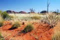 Kata Tjuta (The Olgas) Royalty Free Stock Photo