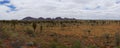 Kata Tjuta (The Olgas), Australia Royalty Free Stock Photo