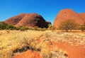 Kata Tjuta the Olgas, Northern Territory, Australia Royalty Free Stock Photo