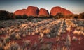 Kata Tjuta the Olgas. Northern Territory, Australia Royalty Free Stock Photo