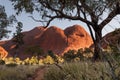 Kata Tjuta the Olgas. Northern Territory, Australia Royalty Free Stock Photo