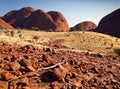 Kata Tjuta the Olgas. Northern Territory, Australia Royalty Free Stock Photo