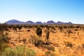 Kata Tjuta the Olgas, Northern Territory, Australia Royalty Free Stock Photo