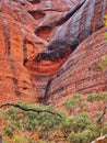 Kata Tjuta Red Rocks, Northern Territory, Australia Royalty Free Stock Photo