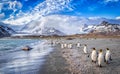 Katabatic winds encroach on St. Andrews Bay on South Georgia