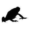 Poison Dart Frog (Dendrobatidae) Standing On a Side View Silhouette Found In Map Of Central And South America Royalty Free Stock Photo