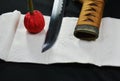 Katana Japanese sword blade and scabbard with red compress