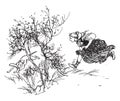 Kate ran after him, and chased him a good way over the fields, vintage engraving