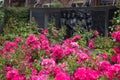 Kate Sheppard memorial