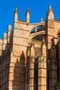 Kathedrale La Seu Royalty Free Stock Photo