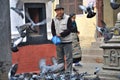 Feeding Pigeon at Kathesimbhu Stupa Royalty Free Stock Photo