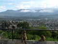 Two monkeys with the city in the background and the clouds in the Himalayas from the Swayambhunath Temple, the monkey temple. Kat