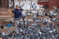 Feeding flock of pigeons