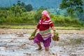 Happy Nepali/Asian farmers working in field