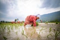 Happy Nepali/Asian farmers working in field