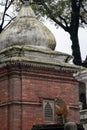 Kathmandu, Nepal, Pashupatinath Temple, Shiva, hinduism, religion, hindu temple, Bagmati river, cremation, ceremony