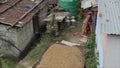 Kathmandu, Nepal - 25 November 2019: A view on poor nepalese household, shack. An old Nepali woman in the backyard. Rice