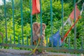 KATHMANDU, NEPAL OCTOBER 15, 2017: Family of monkeys sitting at outdoors with prayer flags near swayambhunath stupa