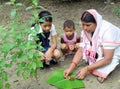 Kati Bihu in Assam