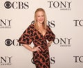 Katie Finneran at Meet the Nominees Press Reception for the 2010 Tonys in NYC