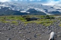 Katmai National Park in Alaska, scenery of rocks, lichen and driftwood with large glacier mountains Royalty Free Stock Photo