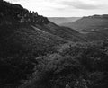 Landscape of Three Sisters rock formation at Katoomba Blue Mountains New South Wales Australia in Monochrome with forest Royalty Free Stock Photo