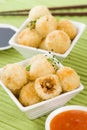 Katsu Chicken Balls Royalty Free Stock Photo