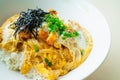 Katsu don boiled japan food is deep fired pork