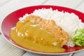 Katsu Kare Royalty Free Stock Photo