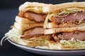 Katsu Sando - food trend japanese sandwich with breaded pork chop, cabbage