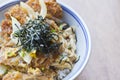 Katsudon Royalty Free Stock Photo