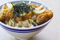 Katsudon Royalty Free Stock Photo