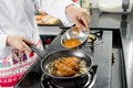 Katsudon Royalty Free Stock Photo