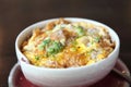 Katsudon - Japanese breaded deep fried pork cutlet (tonkatsu) Royalty Free Stock Photo