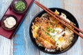 Katsudon Royalty Free Stock Photo