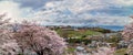 Katsunuma Spring Panorama