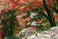 Katsuo-ji temple and autumn colorful forest in Minoh, Osaka, Japan Royalty Free Stock Photo