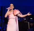 Katy Perry performs at the David Lynch Foundation Benefit