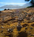 Kauai Beach Strewn with Coral Royalty Free Stock Photo