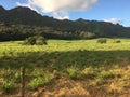 Kauai farmland with mountains in background