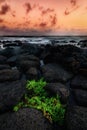 Kauai Hawaii Sunset at the Beach Royalty Free Stock Photo