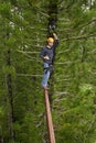 Kauai zipliner Royalty Free Stock Photo