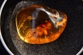 Kauri gum, amber from old kauri trees, New Zealand gold