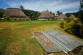 Kava root drying in Navala village, Viti Levu, Fiji Royalty Free Stock Photo