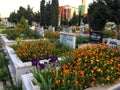 Kavakli Yeni New Cemetery in Istanbul