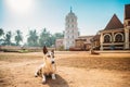 Kavlem, Phonda, Goa, India. Dog Resting Near Shree Shantadurga Mandir, Kavlem Temple. Famous Landmark And Popular