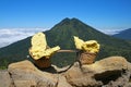 Kawa lijen volcano