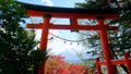 Kawaguchi Sengen Shrine. Red Torii and Fujiyama in the background