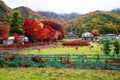 Kawaguchiko maple corridor with fall colors