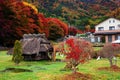 Kawaguchiko maple corridor at fall